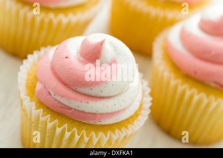 Vanille Cupcakes mit Erdbeer-Sahne gekrönt. Stockfoto