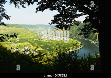 Ellenz-Poltersdorf und Mosel, Rheinland-Pfalz, Deutschland Stockfoto
