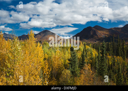 Herbstfärbung Farbsäume der Dempster Highway, Yukon Territorien, Kanada Stockfoto