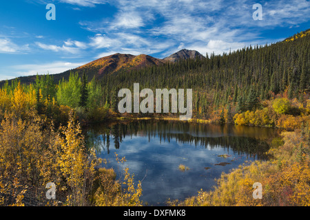 Herbstfärbung Farbsäume der Dempster Highway, Yukon Territorien, Kanada Stockfoto