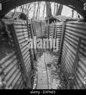 Restauriert von britischen WW1 Rigolensystem im Heiligtum Wood Hill 62, Nr. Ypern (Ieper), Belgien Stockfoto