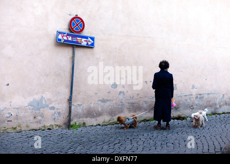 Frau, die zwei Hunde in Rom, Italien, läuft Stockfoto