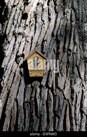 Naturdenkmal Zeichen Stamm der alten Eiche ca. 800 Jahre alten Naturschutzgebiet Markische Schweiz Brandenburg-Deutschland / (Quercus Stockfoto