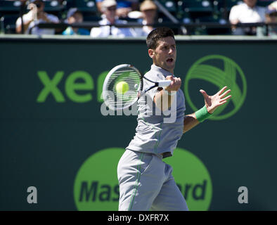 Key Biscayne, Florida, USA. 25. März 2014. Key Biscayne - 25 März: Novak Djokovic (SRB) in Aktion hier besiegt Tommy Robredo(ESP) 63, 75 während seiner letzten Quartal 2014 Sony Open Tennis Turnier übereinstimmen. (Fotos von Andrew Patron) Bildnachweis: Andrew Patron/ZUMAPRESS.com/Alamy Live-Nachrichten Stockfoto