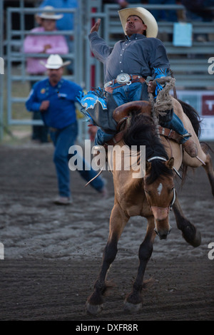 2013 © Christopher Martin Stockfoto