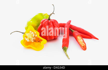 Scotch Bonnet, Jalapeno und orientalischen Chilischoten Stockfoto