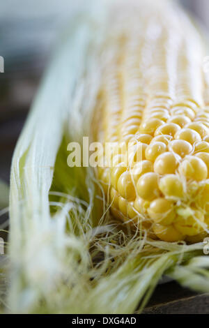 Nahaufnahme von frischer Zuckermais auf Cob Stockfoto