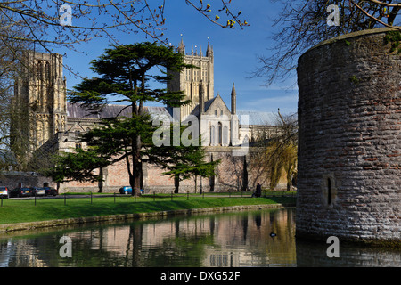 Wells Cathedral betrachtet über den Graben der Bischofspalast in der Stadt Wells in Somerset, England. ca. 1100AD. Stockfoto