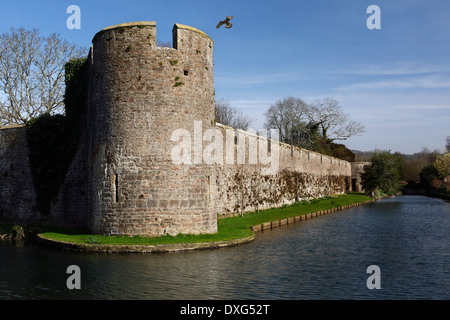 Stadtmauer von der Bischofspalast in der Stadt Wells in Somerset, England Stockfoto