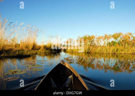 Gleiten durch die Papyrus gesäumten Okavango Sümpfe in einem Einbaum-Mekoro in den frühen Morgenstunden, Botswana Stockfoto