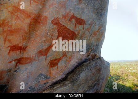 Die Tsodilo Hills in Botswana sind berühmt für die Buschmänner oder San Felsmalereien finden Sie hier. Hier sind Bilder von Giraffen, rhinoc Stockfoto