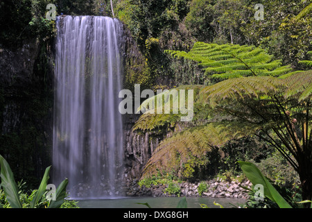 Millaa Millaa Falls, Atherton Tablelands, Queensland, Australien Stockfoto