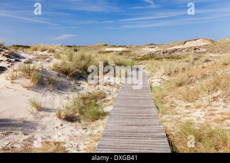 Promenade durch die Dünen, Amrum, Nordfriesland, Schleswig-Holstein, Deutschland Stockfoto