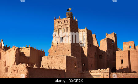 Storch brütet auf der Glaoui Kasbah, Tamdaght, Marokko Stockfoto