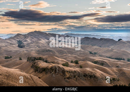 Te Mata Peak, trockenen Landschaft, Abendstimmung, in der Nähe von Hastings, Hawke's Bay, North Island, Neuseeland Stockfoto