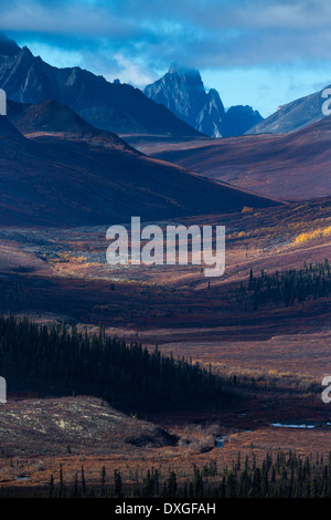 Tombstone Pass und das obere Tal des Flusses North Klondike im Herbst, Tombstone Territorial Park, Yukon Territorien, Kanada Stockfoto