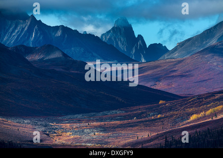 Tombstone Pass und das obere Tal des Flusses North Klondike im Herbst, Tombstone Territorial Park, Yukon Territorien, Kanada Stockfoto