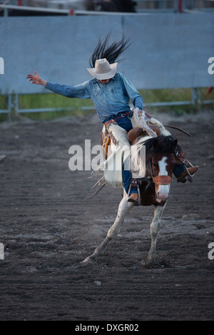 2013 © Christopher Martin Stockfoto