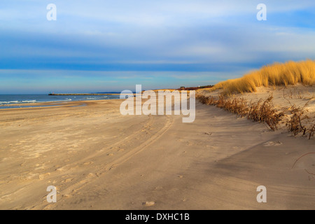 Grass bedeckt Dünen an den Ufern der Ostsee Stockfoto