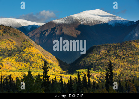 Herbst Farben entlang der South Klondike Highway und einen Schatten ähnelt dem Kopf eines Wolfes auf Young Peak British Columbia Kanada Stockfoto