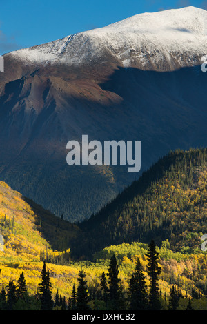 Herbst Farben entlang der South Klondike Highway und einen Schatten ähnelt dem Kopf eines Wolfes auf Young Peak British Columbia Kanada Stockfoto