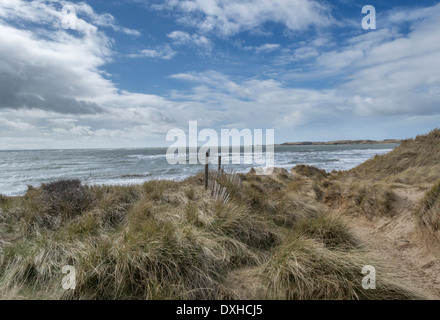 Strand/Meer Blick auf Newborough, Isle of Anglesey, Nordwales. Stockfoto