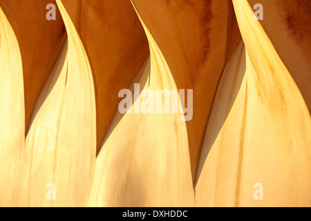 Details der Schornsteine auf dem Dach der Casa Mila, bekannt als La Pedrera, entworfen vom Architekten Antoni Gaudi. Barcelona, Katalonien, Spanien. Stockfoto