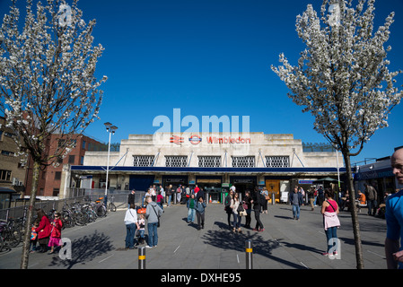 Wimbledon-Bahnhof mit zwei Bäume in Blüte, London, UK Stockfoto