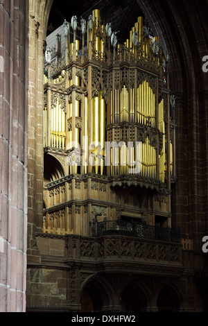 Eine der (25) Bilder auf interne Aspekte der Kathedrale von Chester Verwandte von Fotograf Peter Wheeler. Bitte geben Sie die vollständigen individuell einstellen. Stockfoto