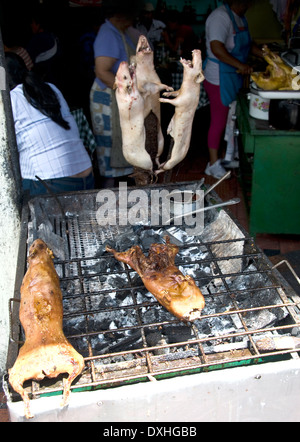 Marinierte, gebratene Cuy (Meerschweinchen), eine lokale Spezialität, auf einem Grill auf dem Outdoor-Lebensmittelmarkt in Banios, Ecuador Stockfoto