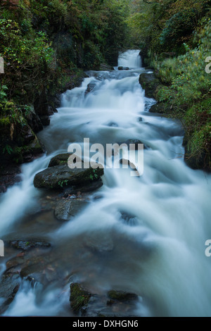 Watersmeet, wo die Täler von East Lyn und Hoar Eiche Wasser, Exmoor National Park, Devon, England, UK verschmelzen Stockfoto