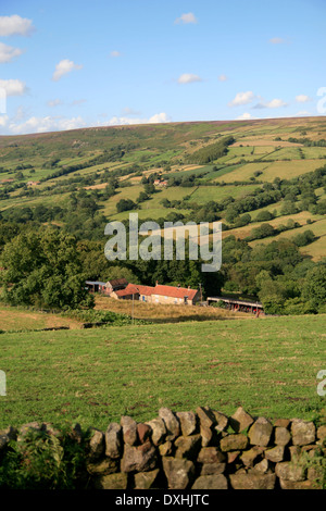 Trockenmauer und Bauernhof Farndale North Yorkshire England UK Stockfoto