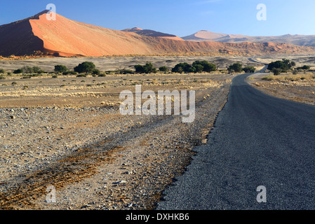 Straße durch die Salzpfanne Sossusvlei, Namib Wüste, Sossusvlei, Namib Naukluft Park, Namibia, Afrika Stockfoto