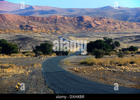 Straße durch die Salzpfanne Sossusvlei, Namib Wüste, Sossusvlei, Namib Naukluft Park, Namibia, Afrika Stockfoto