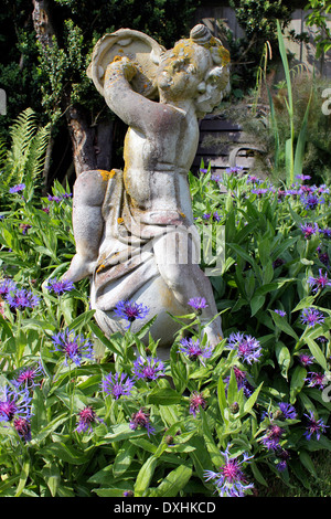 Englischer Garten mit Kornblumen und Statue Tamburin spielen Stockfoto