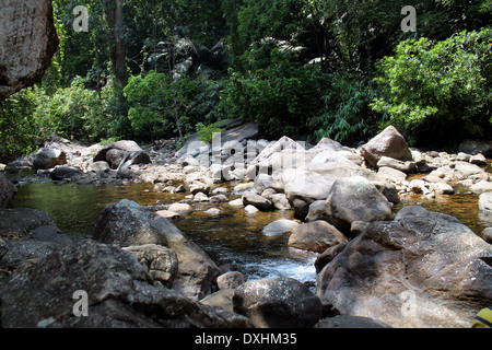 Kallar Fluss Kerala, Indien Stockfoto