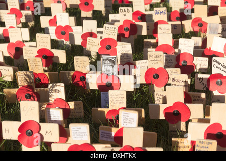 Mohn und persönlichen Inschriften auf kleine hölzerne Kreuze am Kriegerdenkmal Bury, Lancashire am Remembrance Day Sonntag 2013. Stockfoto