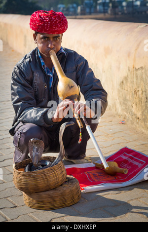 Snake Charmer bei Amer Fort in Rajasthan, Indien Stockfoto