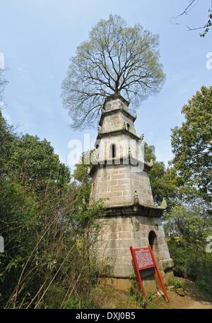 (140327)--CHANGSHA, 27 März, 2014(Xinhua)--Foto am 26. März 2014 zeigt eine Jahrhundert-alte Pagode mit einem Zürgelbaum-Baum gewachsen auf seiner Spitze befindet sich im nördlichen Vorort von Changsha, der Hauptstadt der Provinz Zentral-China Hunan. Die fünfstöckige Pagode im Jahre 1838 erbaut und aus Granit, 12 Meter hoch war. Es wird gesagt, dass der 7-Meter-hohen Hackberry Baum seit mehr als hundert Jahren ein Begleiter mit der Pagode wurde. Nach der Anwohner wurde die Pagode durch einen Blitz im Jahr 1900 und nach getroffen, die einige Vögel begünstigt, auf dessen Spitze Nestle. Die Ansammlung von Vögel Kot und Schmutz Stockfoto
