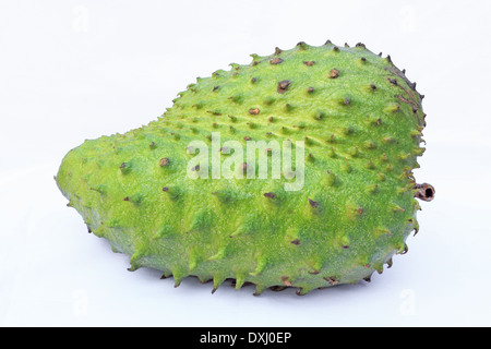 Soursop oder stachelige Custard Apple oder Durian Belanda (Annona Muricata L.) isoliert auf weißem Hintergrund Stockfoto