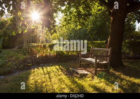 Eine Bank mit niemand sitzen auf ihm, mit der Sonne durch die Blätter. Stockfoto