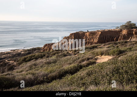 Torrey Pines State Natural Reserve Stockfoto