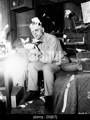 VOGELMANN VON ALCATRAZ Stockfoto