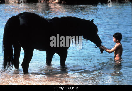 DER SCHWARZE HENGST Stockfoto