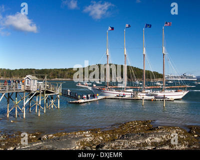 Viermastbark Margaret Todd und Cruise Liner Caribbean Princess festgemacht an der Bar Harbour Maine USA Stockfoto