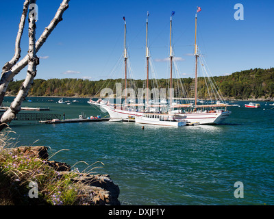 Viermastbark Margaret Todd and Cruise Liner Caribbean Princess of Bar Harbour Maine USA 6 Stockfoto