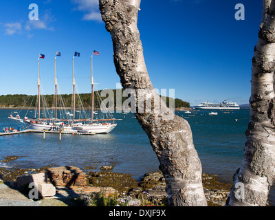 Viermastbark Margaret Todd and Cruise Liner Caribbean Princess of Bar Harbour Maine USA 5 Stockfoto