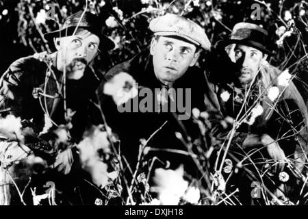 THE GRAPES OF WRATH Stockfoto