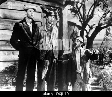 THE GRAPES OF WRATH Stockfoto