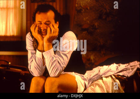 GROUNDHOG DAY Stockfoto